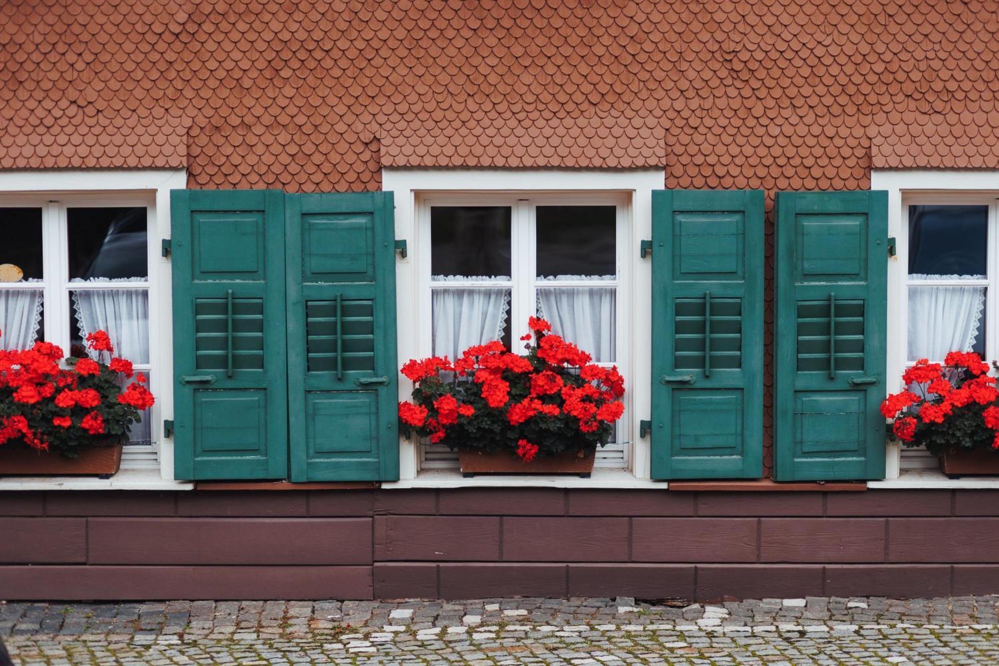 Boutiquehotel Ochsen 3* Lenzkirch